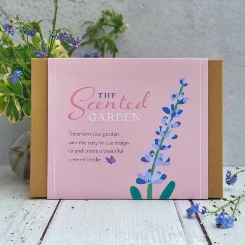 scented version border in a box garden design kit with lavender flower illustration