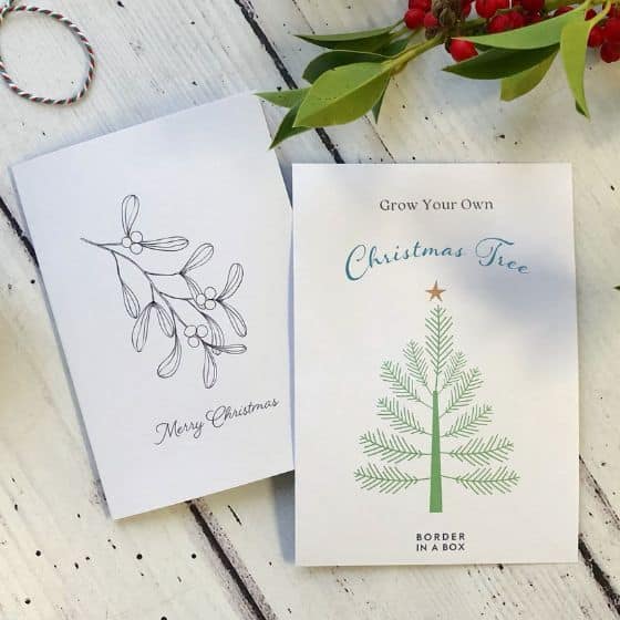 christmas card with mistletoe illustration and christmas tree seed