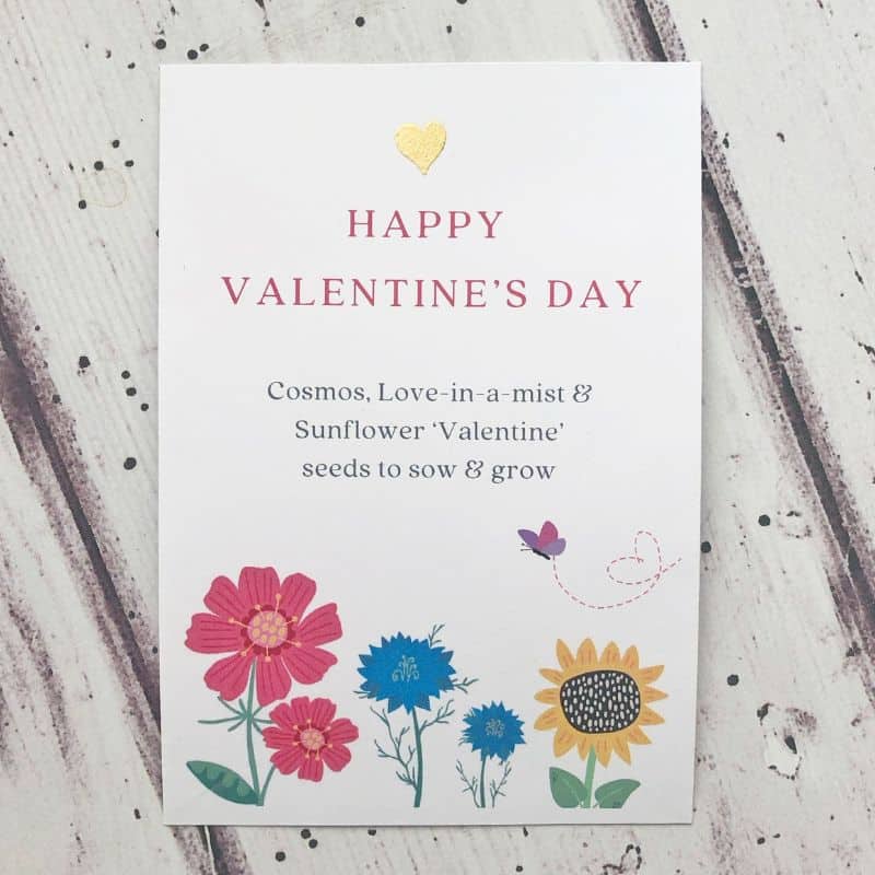 valentines seed packet with cosmos, nigella and sunflower illustrations