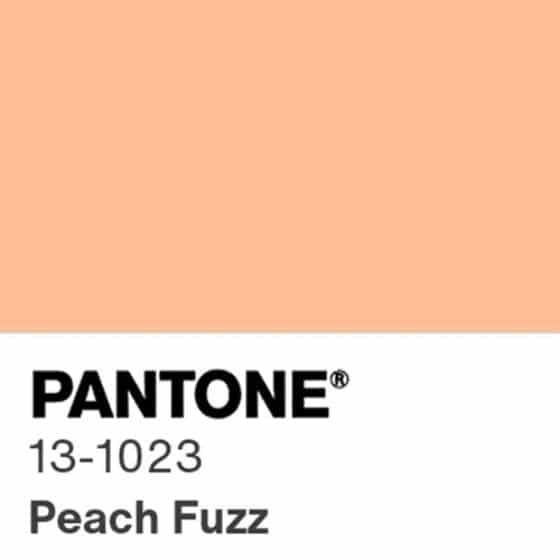 pantone colour of the year 2024 peach fuzz