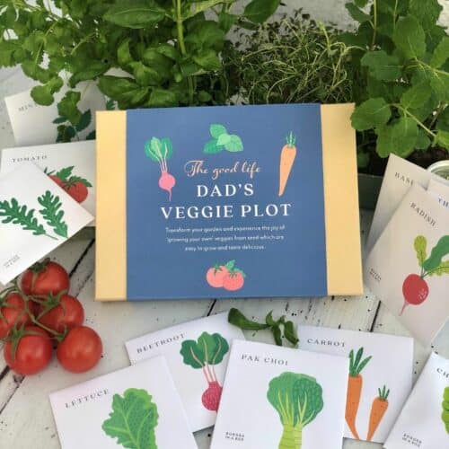 dads veg plot kitchen garden kit