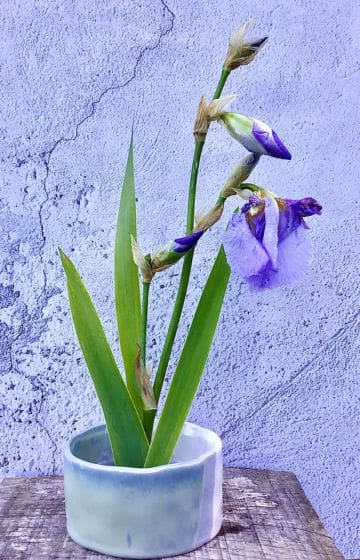 iris ikebana style flower arrangement