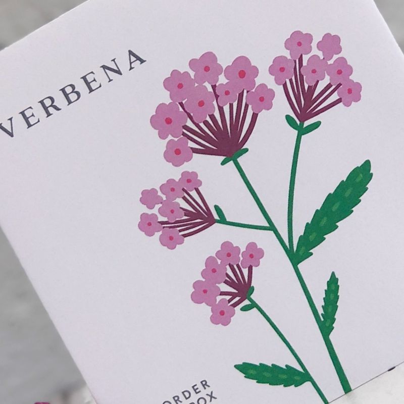 verbena bonariensis seed packet