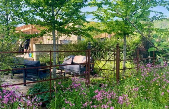 The cotswold garden rhs malvern 2024 wildflower garden rustic fence