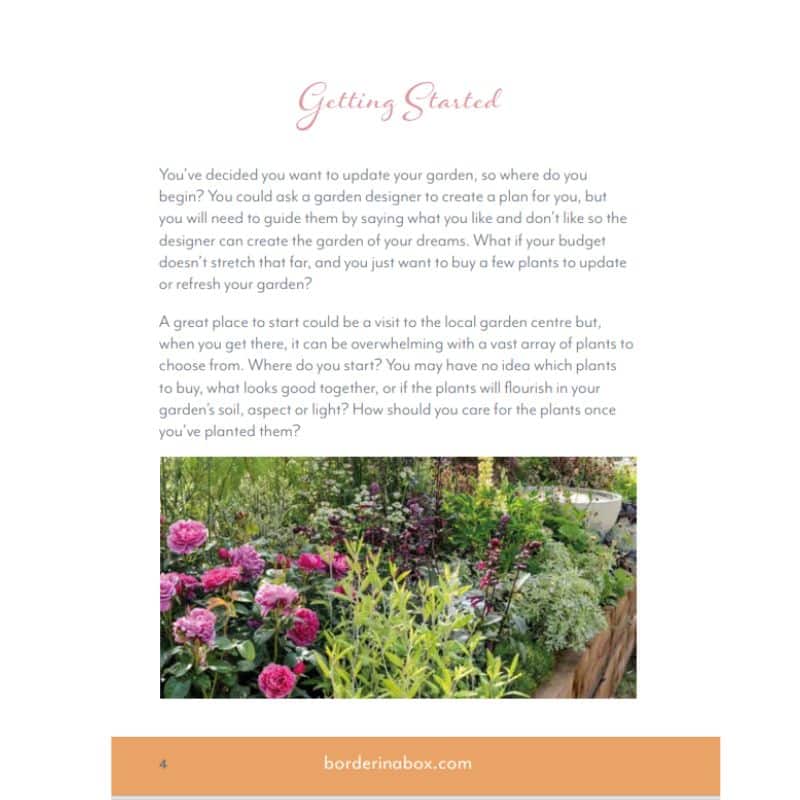 creating your garden getting started