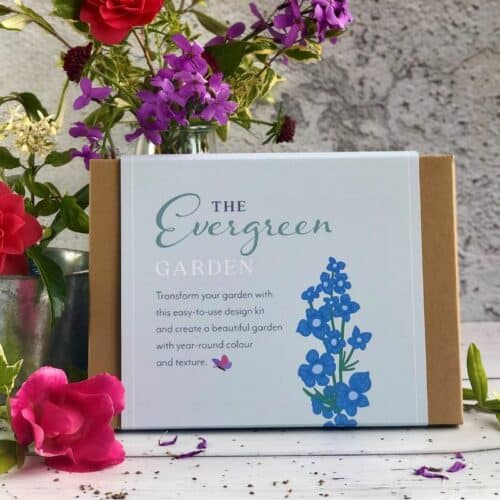 evergreen border in a box front cover