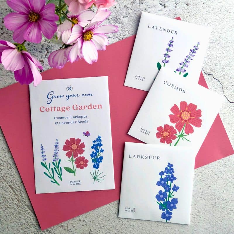cottage garden seed trio pack 800 x 800 cottage garden seed packets cosmos lavender larkspur
