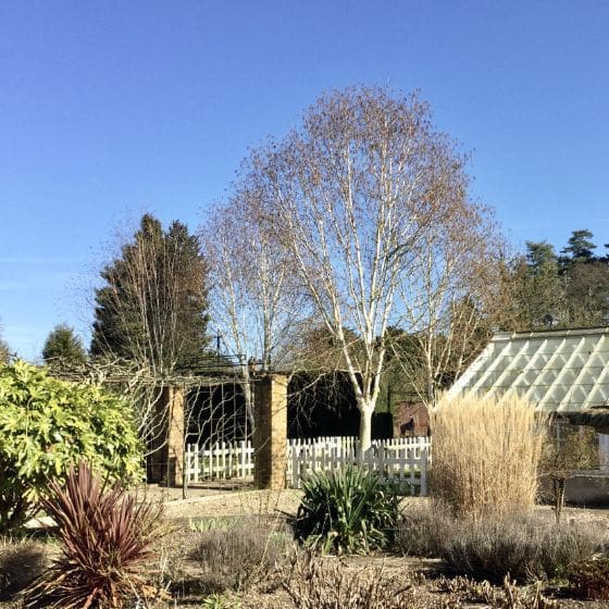 spetchley gardens worcestershire in spring