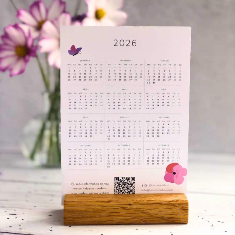 desk calendar year 2026 800 x 800