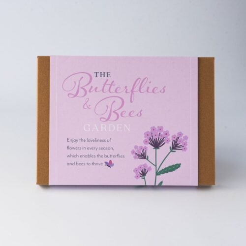 butterflies and bees ready made garden design kit front box with verbena bonariensis illustration