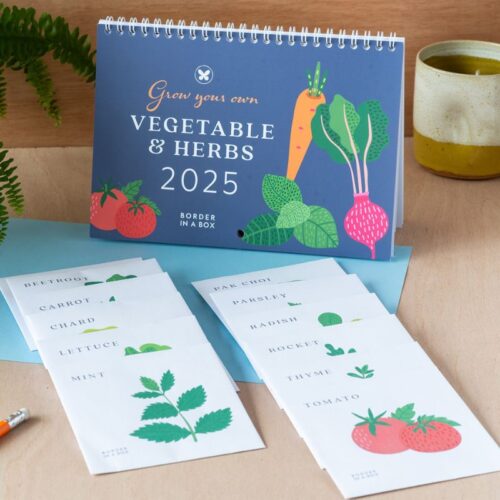 seed calendar veg and herb front cover and seed packets