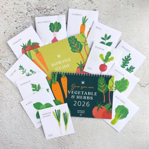 vegetable and herb seed calendar 2026