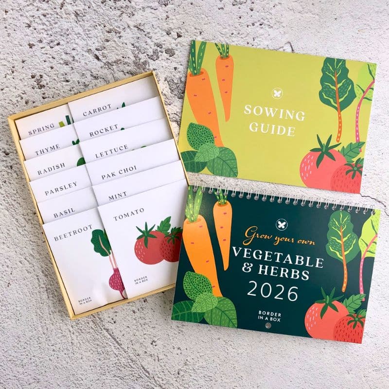 veg seed calendar gift box 800 x 800