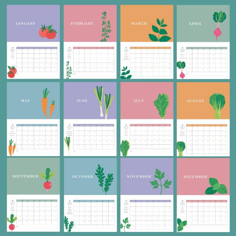 vegetable seed calendar 2026 montage