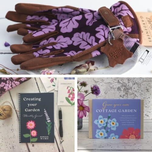 luxury gardening gloves plum leaf design, gardening journal and grow your own cottage garden seed kit