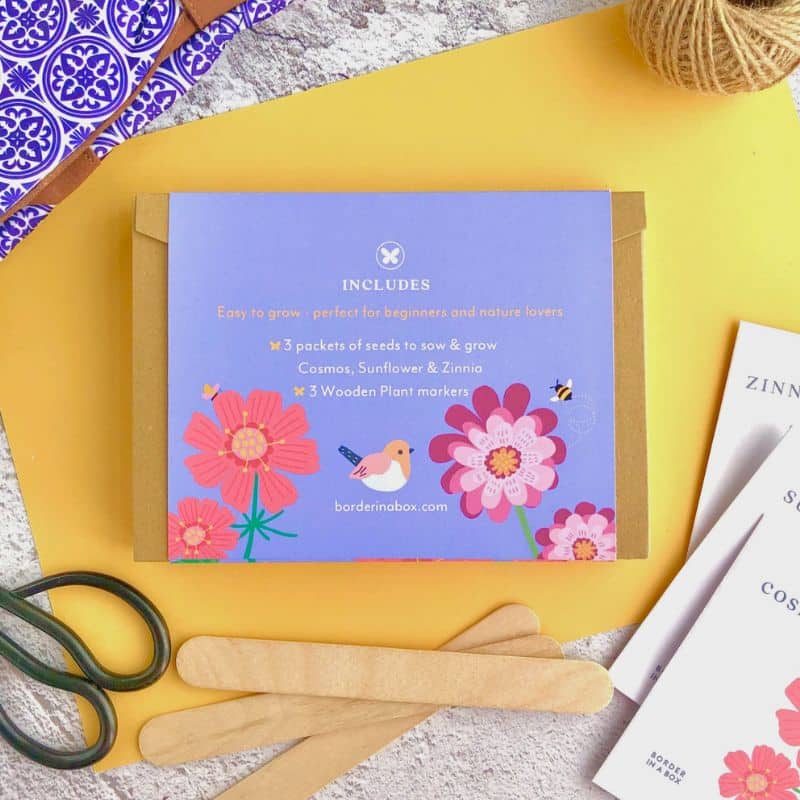 back of gift box with cosmos zinnia and robin illustration on a yellow background