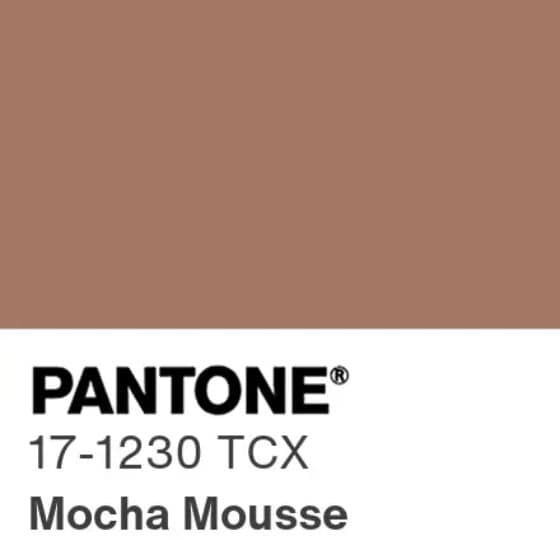 Pantone Colour of the Year Mocha Mousse 