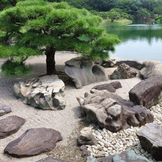 japanese garden with gravel rocks and clipped trees