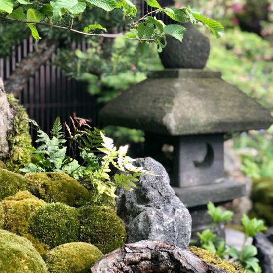 japanese zen garden green moss and stone ornament