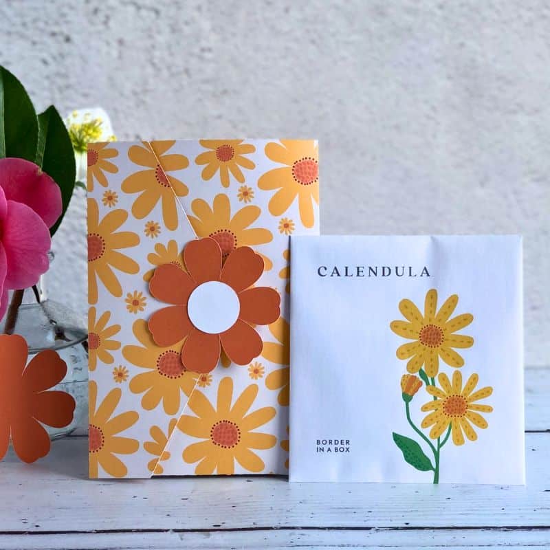 calendula seed gift set