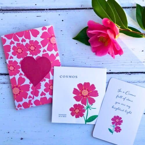 cosmos valentine gift folder