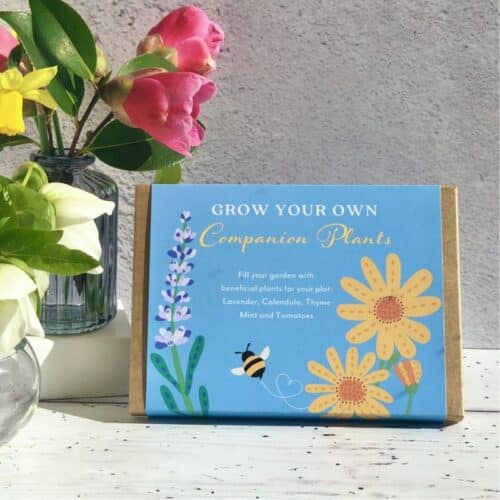 companion planting seed kit gift box front cover with floral illustrations