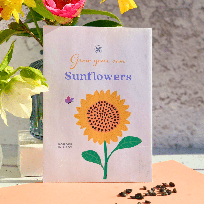 sunflower seed packet with yellow sunflower illustration