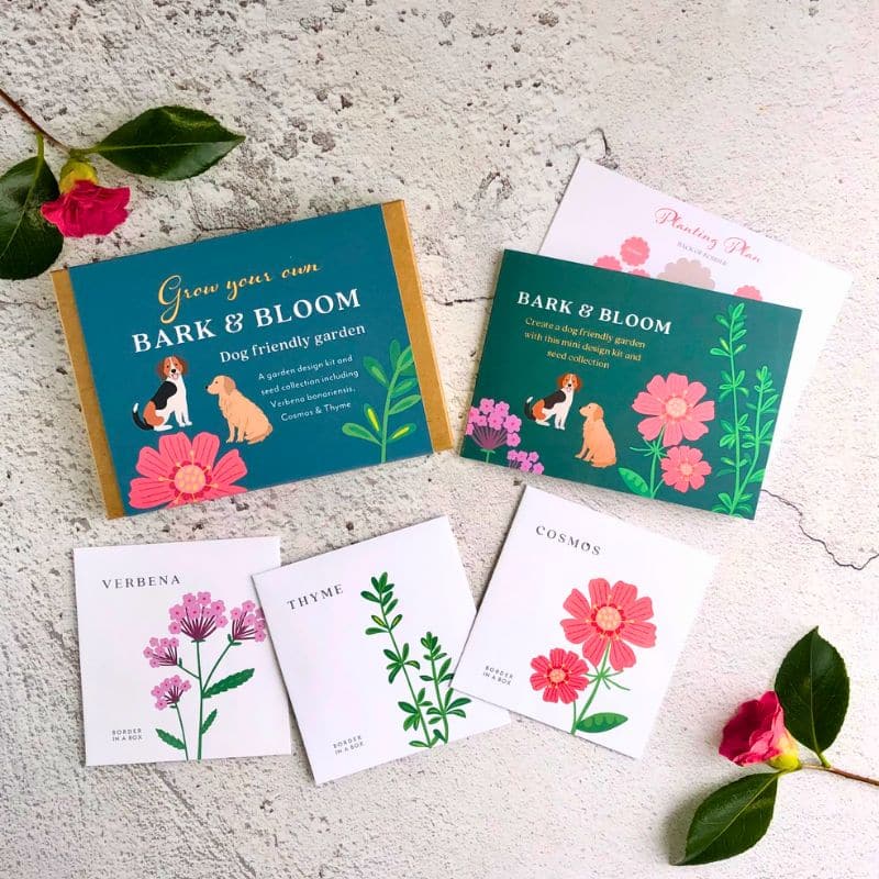 bark and bloom gift box with seeds and leaflet.
