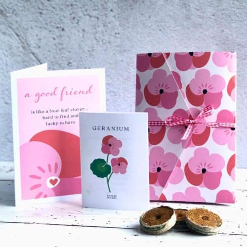 Thinking of You Friendship Geranium Seed Card