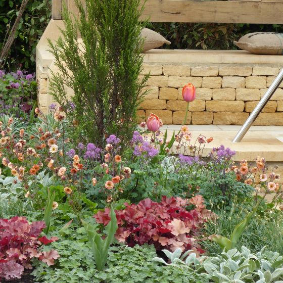 heuchera and geum flowers