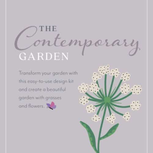 contemporary garden design product header with ammi majus flower illustration