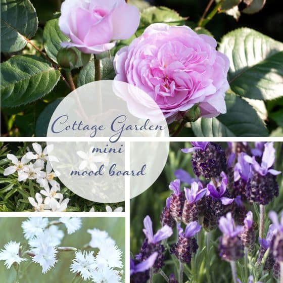 cottage garden mood board with roses lavender flowers