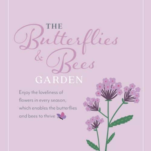 butterflies and bees planting plan with verbena bonariensis illustration