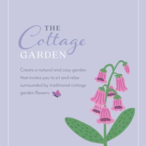 cottage garden planting plan with foxglove illustration