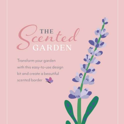 scented garden with lavender flower illustration