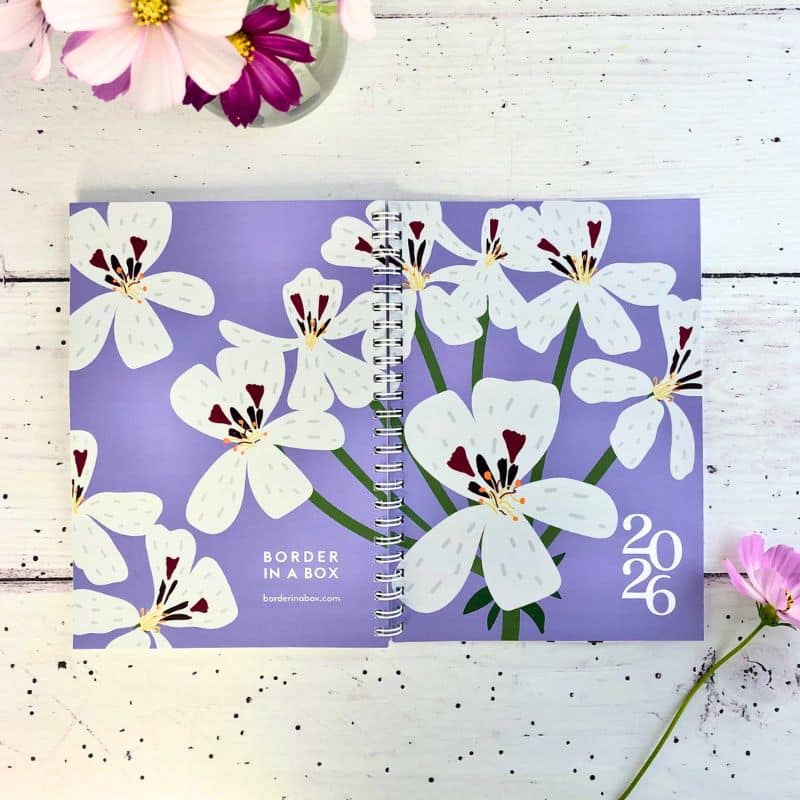 diary 2026 A5 size front and back cover