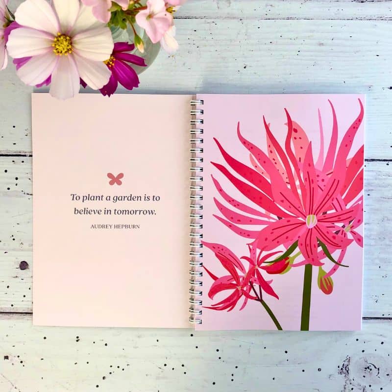 diary 2026 inside cover with pink pelargonium illustration