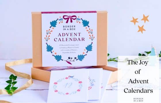 blog header advent calendar for gardeners by Border in a Box