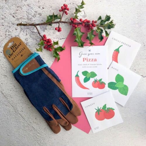 mens denim gardening gloves with trio of seed packets tomato basil chilli
