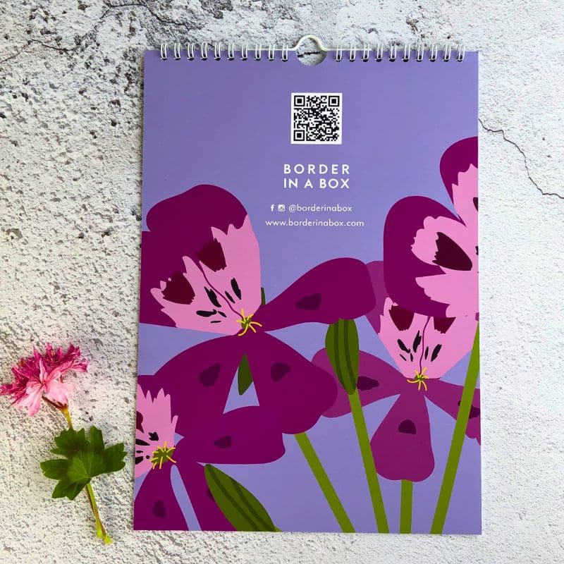 pelargonium wall calendar back page 800 x 800 back page of wall calendar pink pelargonium flower on a purple background