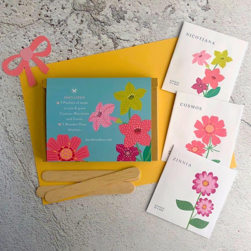 Happy Easter cottage garden seed gift box back 800 x 800 Happy Easter cottage garden seed gift box back 800 x 800