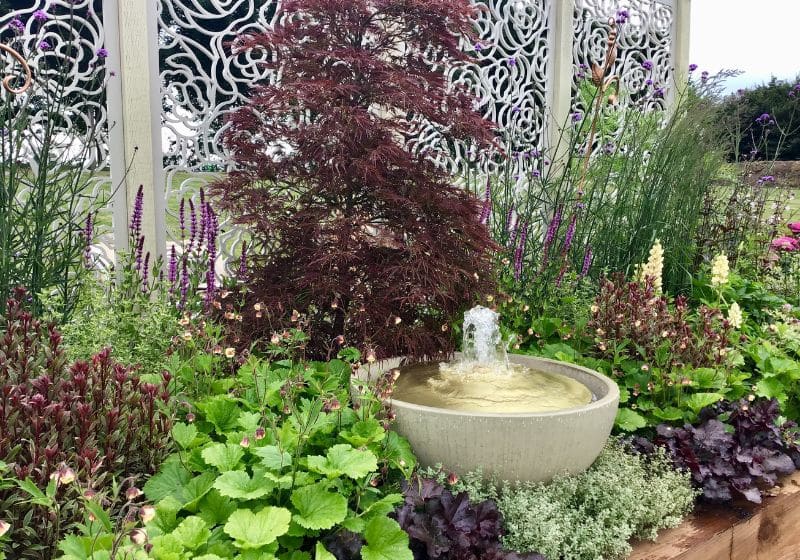 wellbeing garden at gardeners world live platinum award by border in a box