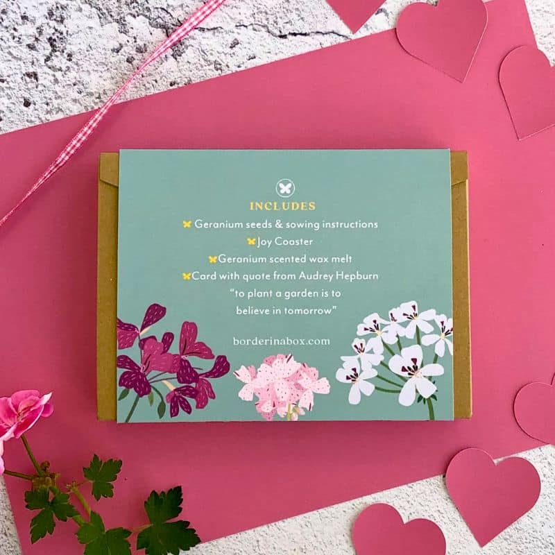 little box new beginnings back of box 800 x 800 little box new beginnings back of box 800 x 800