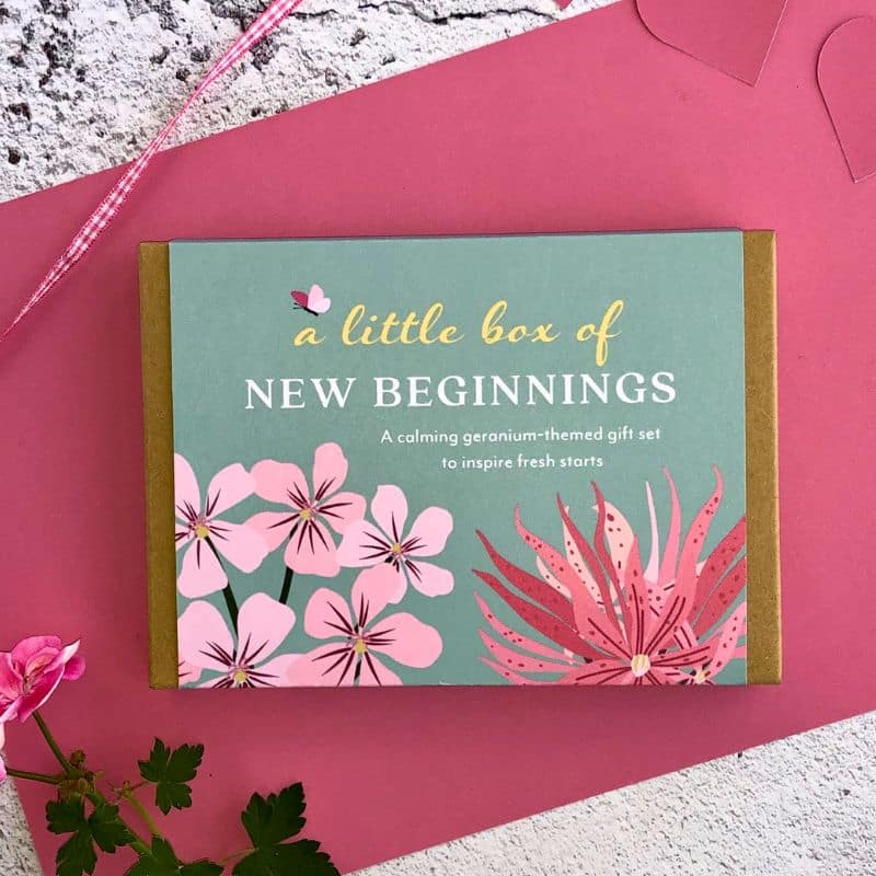 little box new beginnings front of box 800 x 800 little box of new beginnings front of box