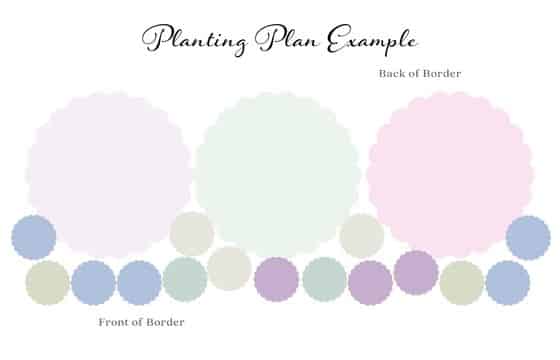 planting plan example 560 x 360