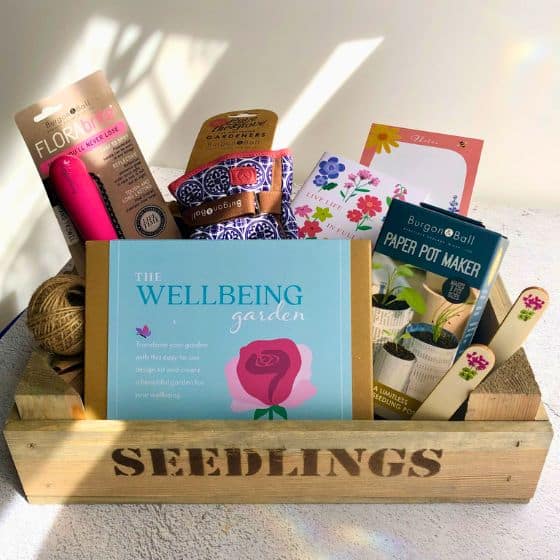 garden hamper with Border in a Box design kit, gardening gloves, trowel in a wooden seedling tray