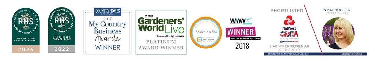 Border in a Box awards