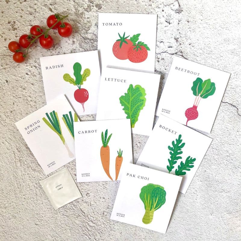 Mixed Vegetable and Salad Seed Pack – 8 packets for £5