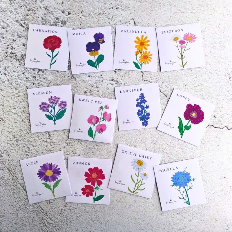 birth flower seed packets for each month