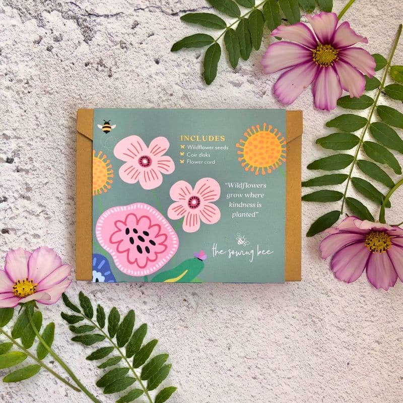 wildflower seed box back (800 x 800 px) wildflowers seed gift box reverse